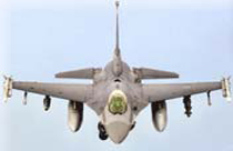 F16.jpg